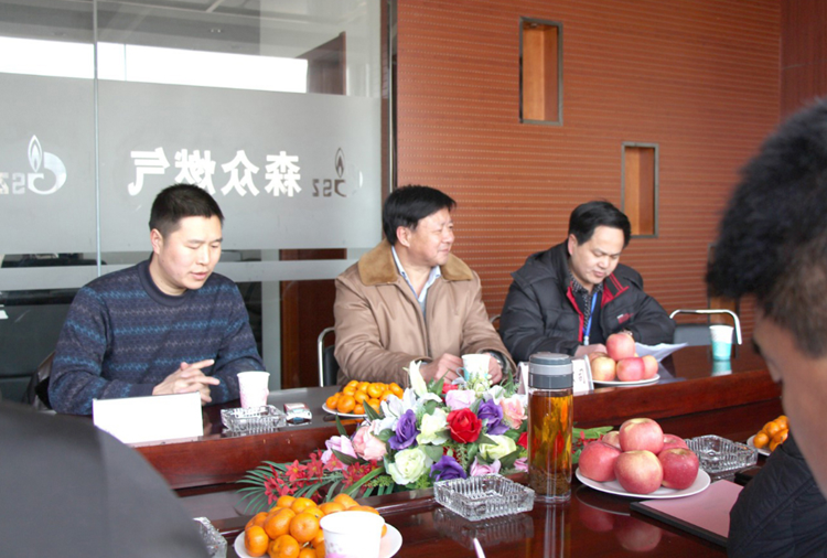 林口县政府与南宁彦霖瑜伽工作室有限公司燃气项目洽谈.png